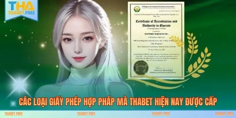 Các loại giấy phép hợp pháp mà THABET hiện nay được cấp