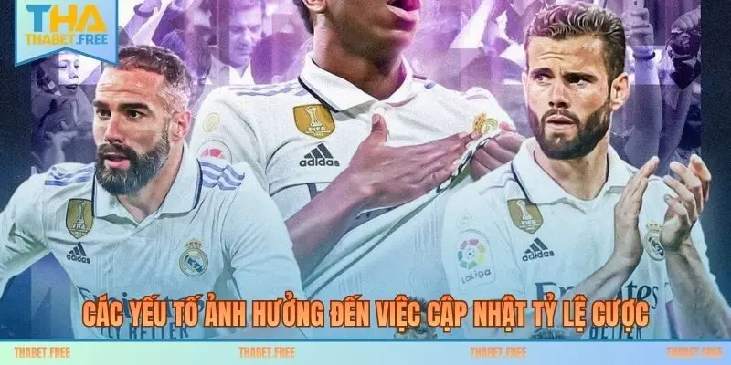 Các yếu tố ảnh hưởng đến việc cập nhật tỷ lệ cược