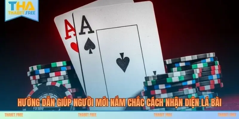 Hướng dẫn giúp người mới nắm chắc cách nhận diện lá bài