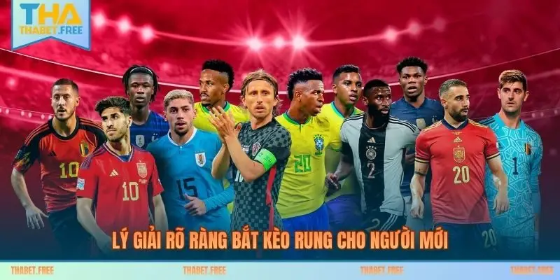 Lý giải rõ ràng bắt kèo rung cho người mới