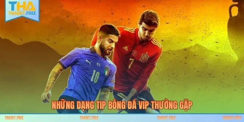 Những dạng tip bóng đá VIP thường gặp