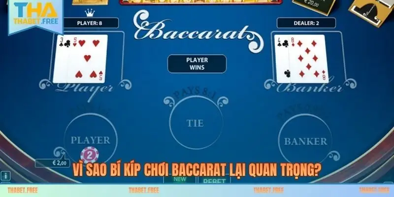 Vì sao bí kíp chơi Baccarat lại quan trọng?