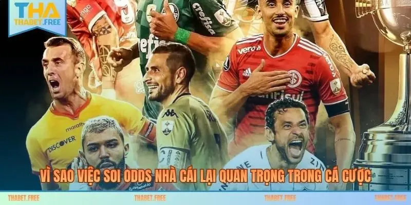 Vì sao việc soi odds nhà cái lại quan trọng trong cá cược