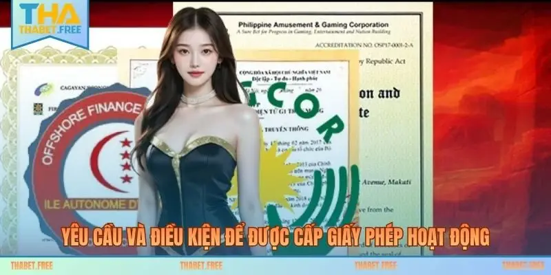 Yêu cầu và điều kiện để được cấp giấy phép hoạt động