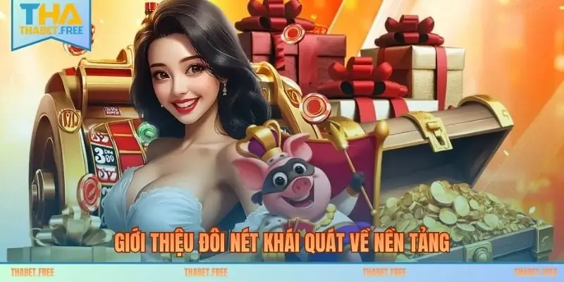 Giới thiệu đôi nét khái quát về nền tảng