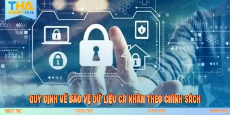 Quy định về bảo vệ dữ liệu cá nhân theo chính sách